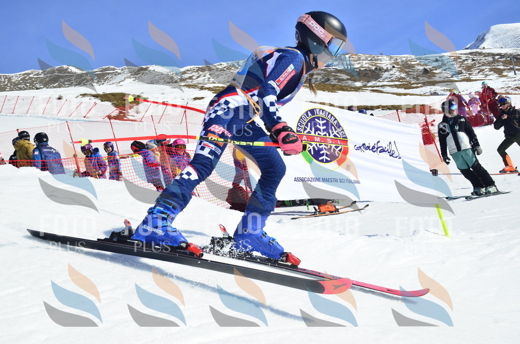 _ELE9981 | holidayphoto