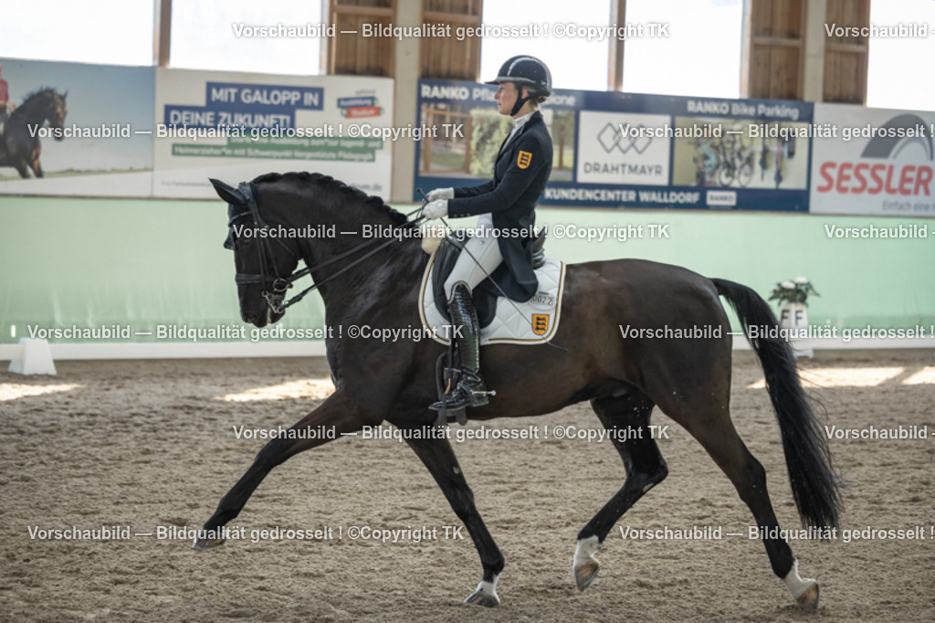 _D5A0294 | Emotionale Pferde- & People-Fotografie rund um Heidelberg, Leimen & Umgebung. Natürliche Fotos von Pferd, Mensch & Familie. Jetzt Termin sichern!