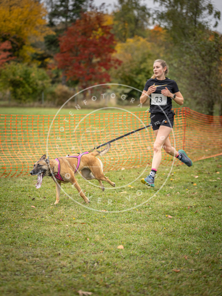 Pfotenfotografie_DV3A2887 | Hundefotografie, Tierfotograf, Pfotenfotografie, Fotoshooting Hund, Hunde Portrait, Hundesport, Hundeportraits, Heideshooting, Hunde, Sportfotograf, Hundefotograf, Turnierhundsport, THS,  - Realisiert mit Pictrs.com