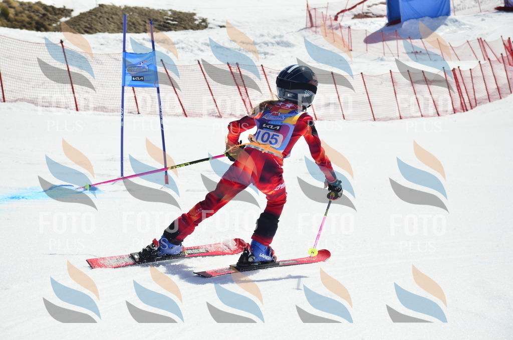 _ELE0598 | holidayphoto