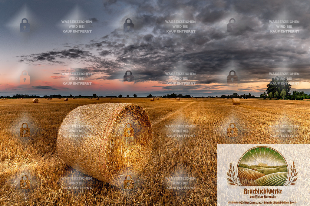 Ernte in Gegendämmerung | Professioneller Fotograf mit 10 Jahren Erfahrung. Landschafts- und Hochzeitsfotografie im Oderbruch. Workshops und beeindruckende Bilder für besondere Momente.