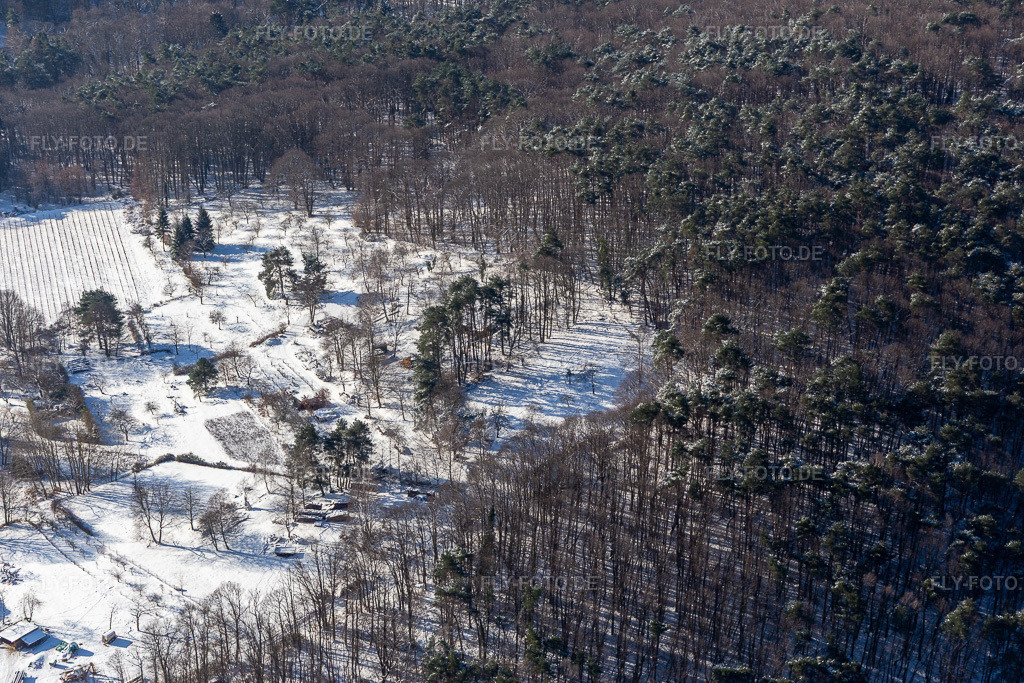 Luftbild: Winterluftbild im Schnee von Gartengrundstücken am Wald in Dörrenbach im Bundesland Rheinland-Pfalz in Deutschland. Foto: IMG_124371.jpg vom 11.02.2021 durch Werner Riehm/FLY-FOTO.de