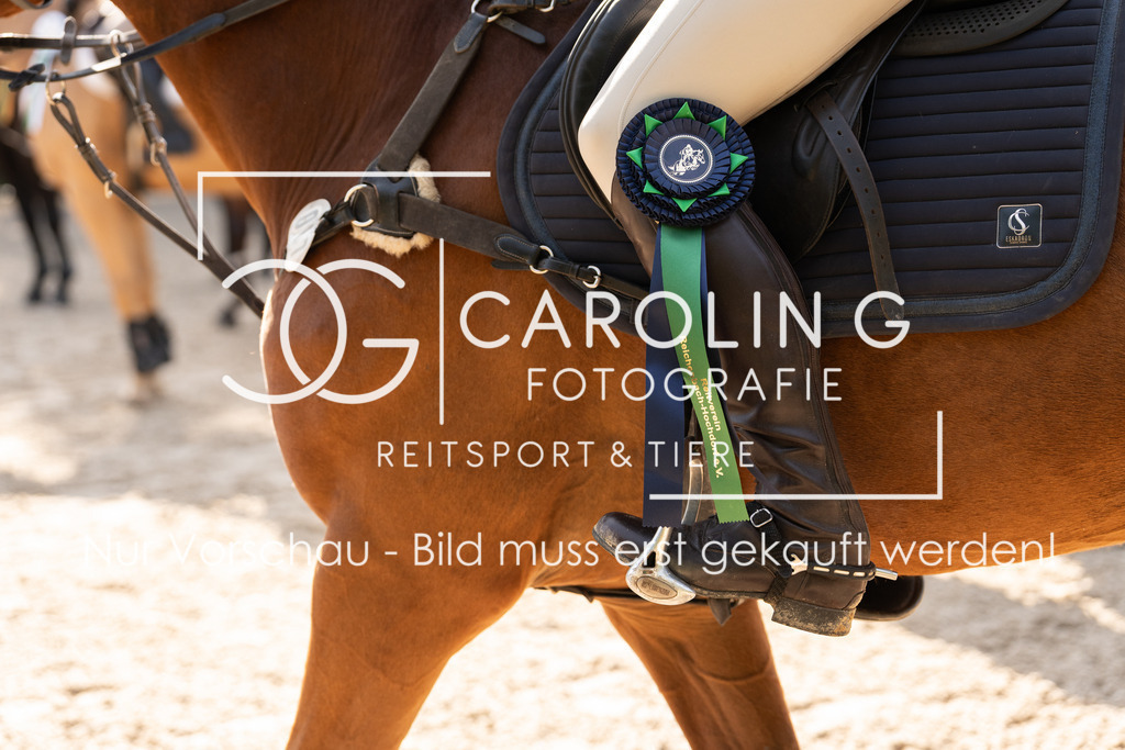 DSC01943 | Carolin Gieschke