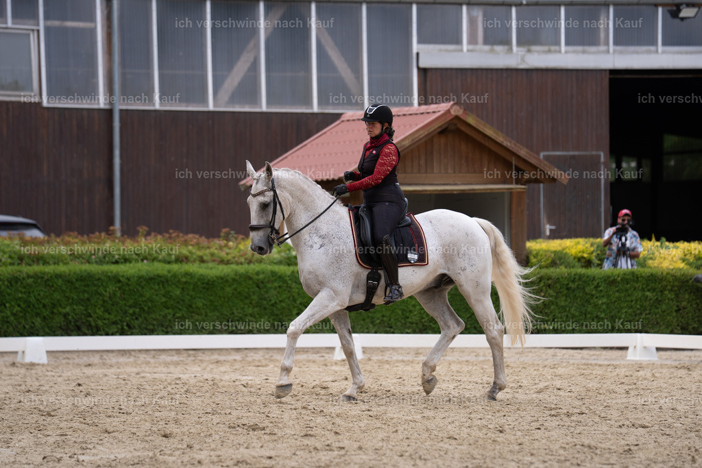 WS_DR_63_sinafilmart_IN01531 | working equitationturnier fotograf videograf stoibphotography marixx film working equitation deutschland reitsport turnierfotografie eventfotografie equestrian events