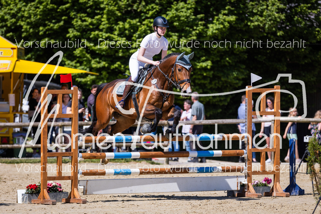 Donop24-ASprmstA-066 | MomenTaufnahmen Pferdesportfotos