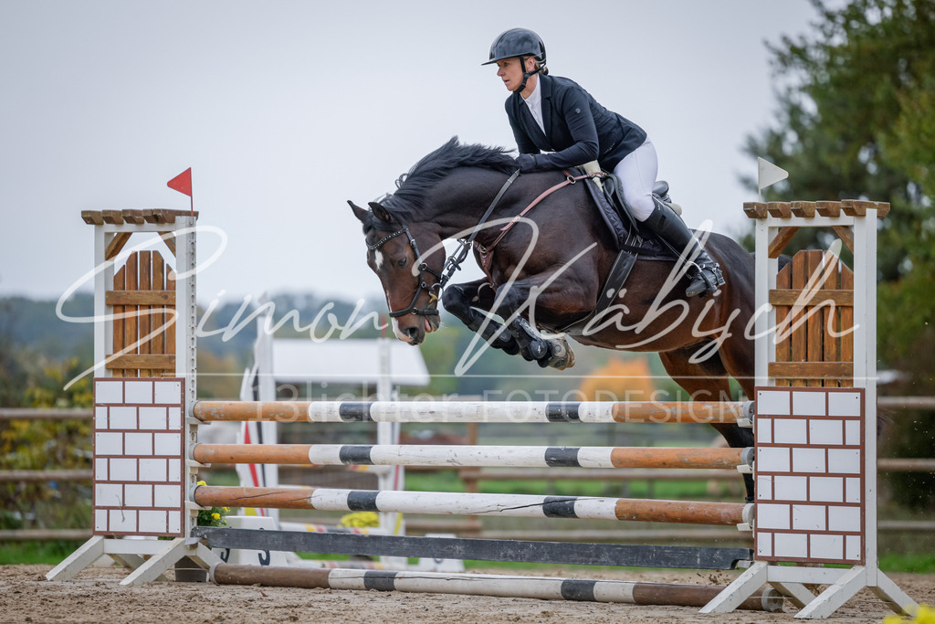 20251012-_3LI3980 | Tierfotografie Pferde, Hunde, Katzen, Haustiere.
Turnierfotografie Reitturniere, Reiten, Springreiten, Dressur in Hanau, dem Main-Kinzig-Kreis und dem Rhein-Main- Gebiet um Frankfurt