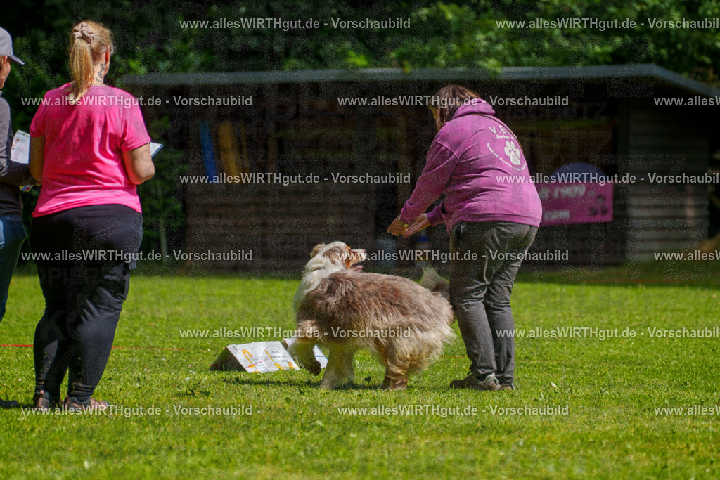@allesWIRTHgut_Tierfotografie - www.allesWIRTHgut.de - 7R503283 | Professionelle Tierfotografie in Mönchengladbach von Daniel Wirth (allesWIRTHgut). Liebevolle & natürliche Bilder von Hunden & Katzen für unvergessliche Erinnerungen.