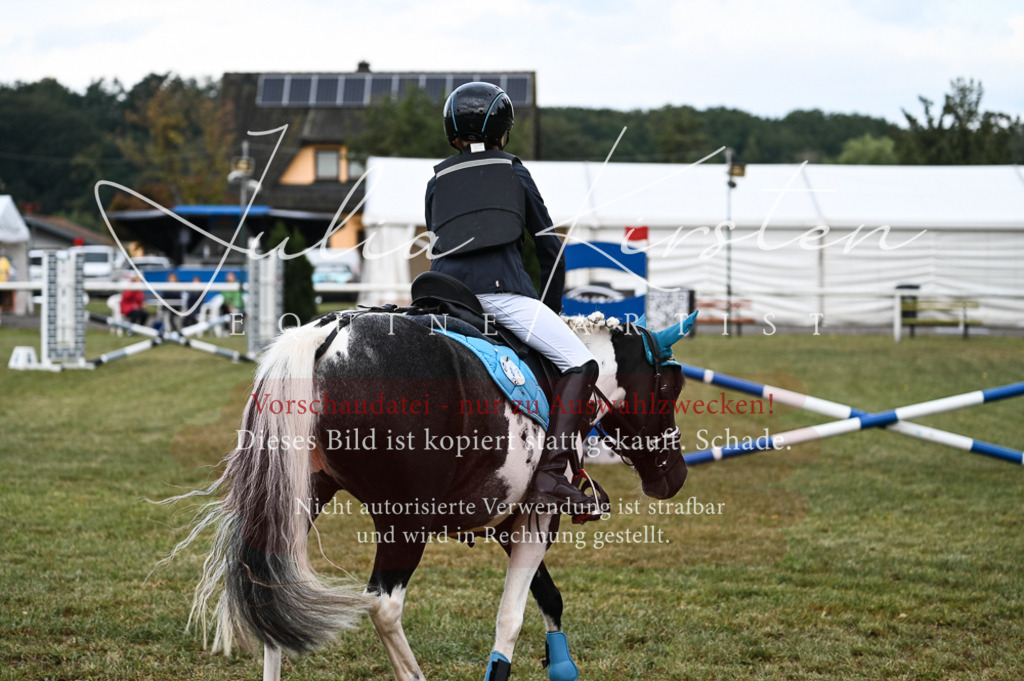 DSC_5483 | Pferde- und Turnierfotografie in Westsachsen. Pferdeportraits, Auftragszeichnungen und intuitive Kunst.