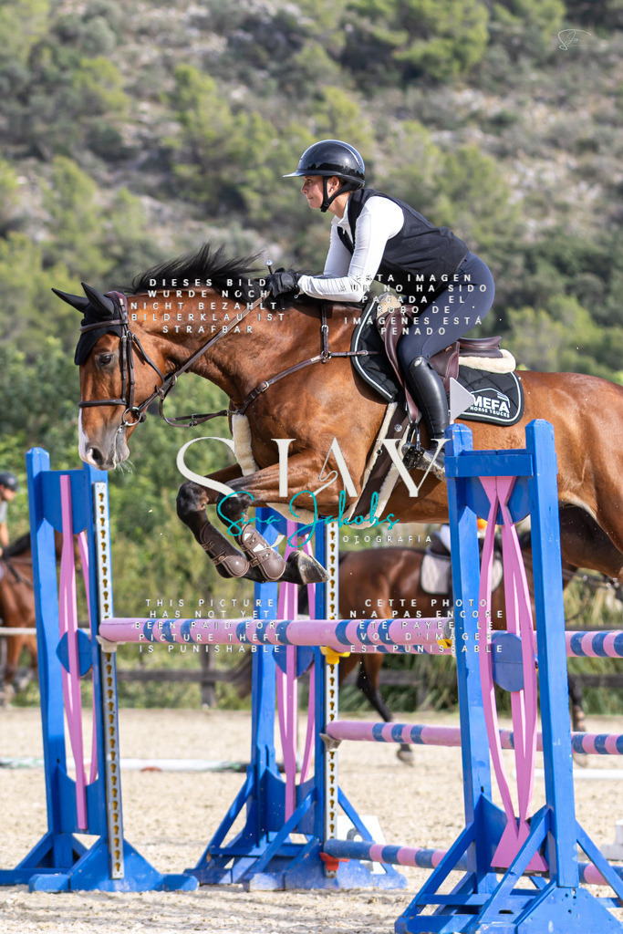 IMG_4284 | s-jay-photography - Realisiert mit Pictrs.com