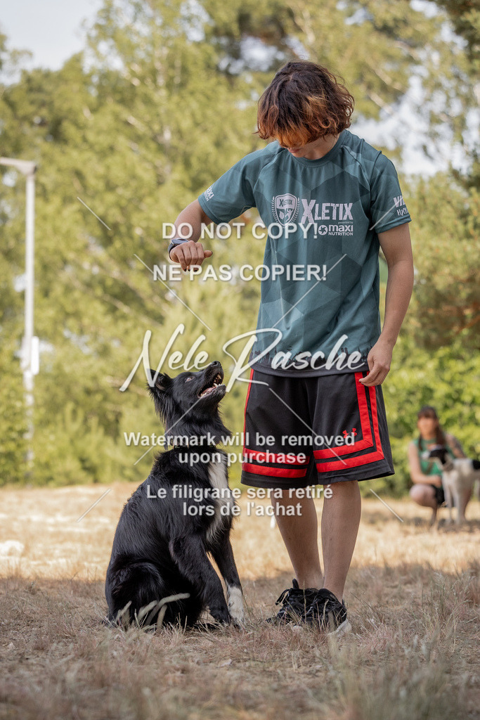 nelerasche_soDD2_338 | nelerasche