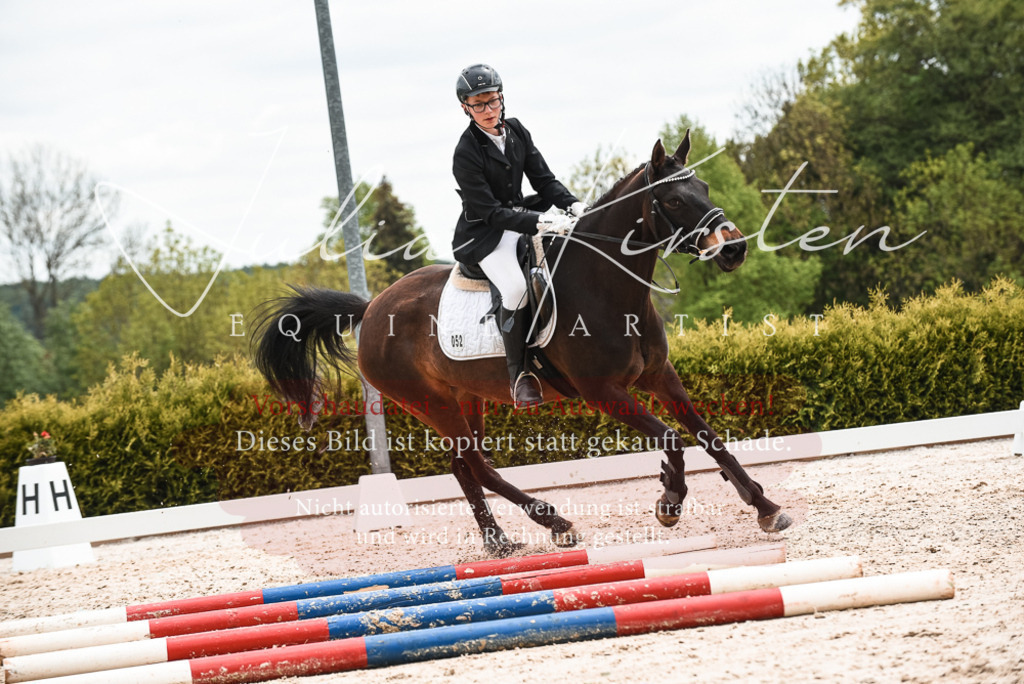 20230518_JK-Röhrsdorf-10-630 | Pferde- und Turnierfotografie in Westsachsen. Pferdeportraits, Auftragszeichnungen und intuitive Kunst.