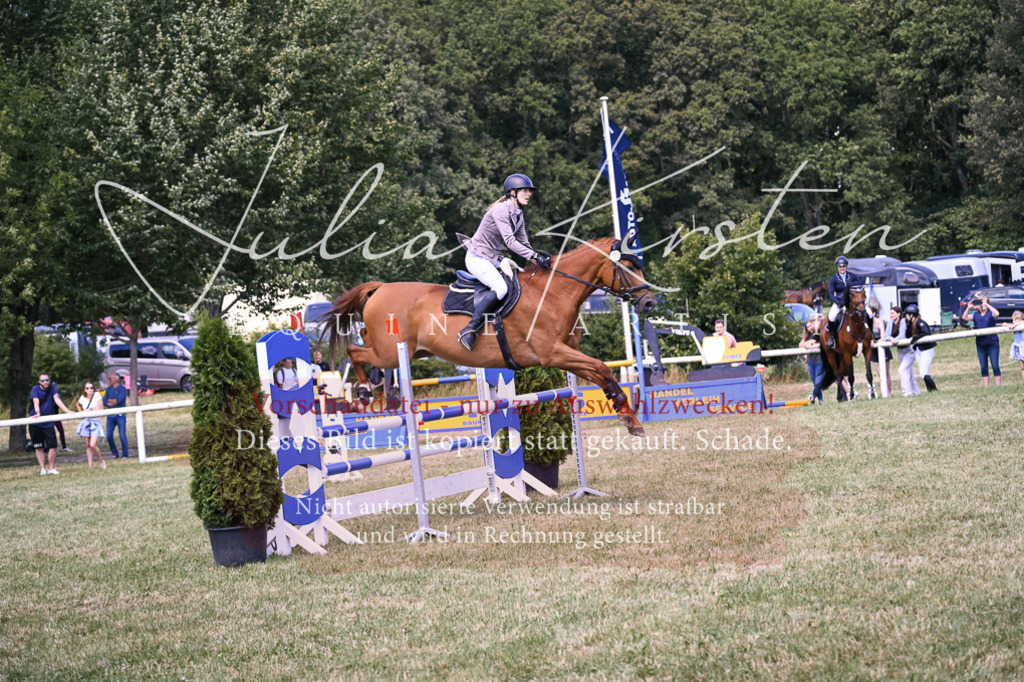 DSC_0231 | Pferde- und Turnierfotografie in Westsachsen. Pferdeportraits, Auftragszeichnungen und intuitive Kunst.