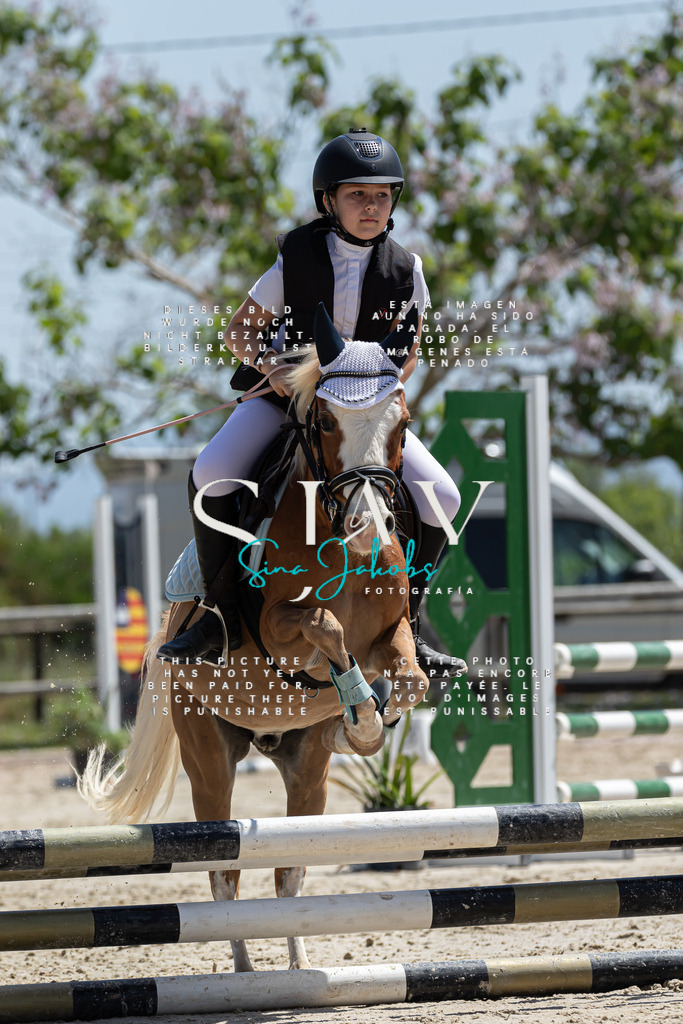 IMG_0327 | s-jay-photography - Realisiert mit Pictrs.com