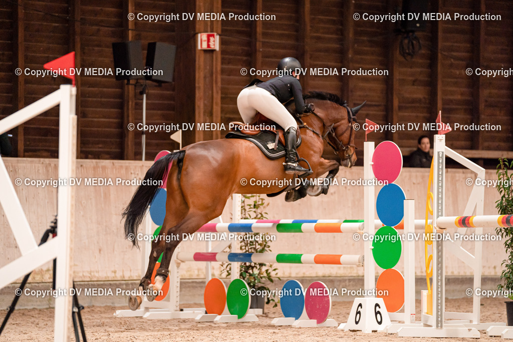 Springen Tag 3-102 | dv-media-shop - Realisiert mit Pictrs.com