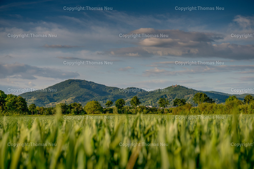 hessische-bergstrasse-panorama-melibokus-odenwald-huegelkette-hessen-Fotografie-Thomas-Neu | Frisches Grün auf den Wiesen  an der Bergstraße, Blick vom Westen auf die Bergstraße mit den Odenwaldhügeln mit Melibokus und Schloss Auerbach – ein typisches Landschaftsmotiv der Bergstraße zwischen Bensheim und Auerbach,Bild: Thomas Neu