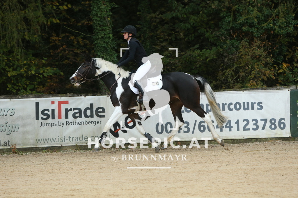 DL2Q3994 | Willkommen bei Brunnmayr - Design & Fotografie – Ihrem Spezialisten für Reitturniere und Pferdeveranstaltungen in Oberösterreich, Salzburg und Bayern! Seit über 17 Jahren sind wir leidenschaftlich dabei.