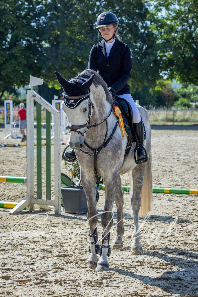 20260704-_3LI7335 | Tierfotografie Pferde, Hunde, Katzen, Haustiere.
Turnierfotografie Reitturniere, Reiten, Springreiten, Dressur in Hanau, dem Main-Kinzig-Kreis und dem Rhein-Main- Gebiet um Frankfurt