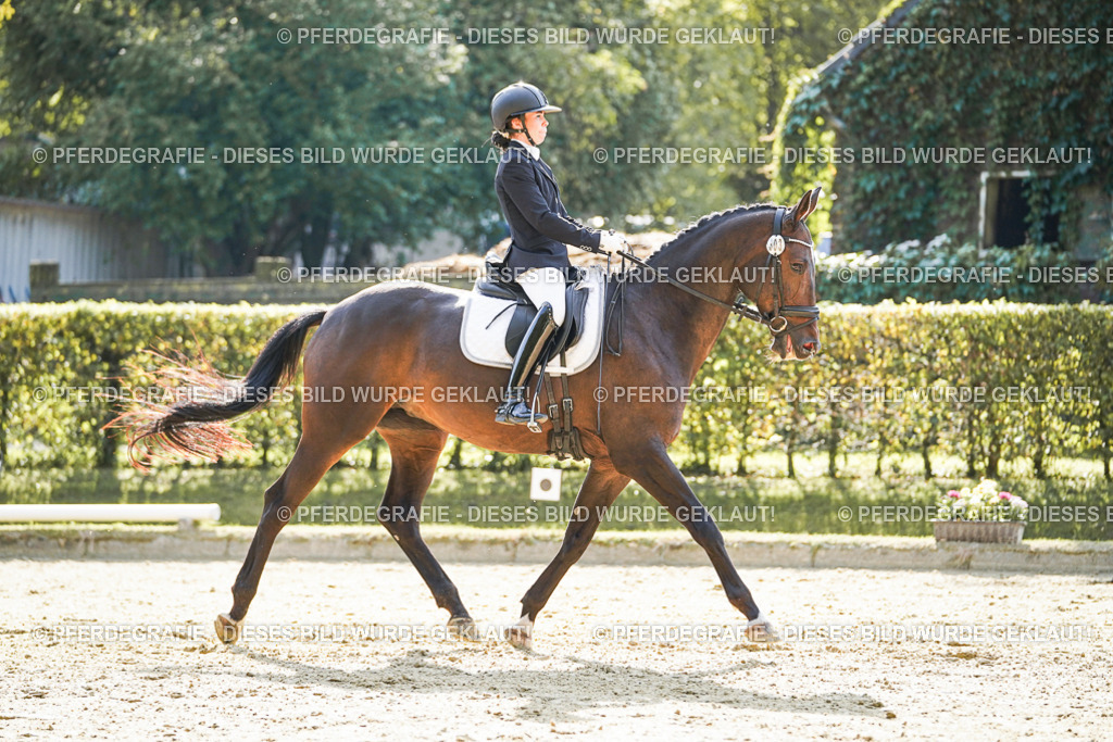 DSC06892 | Pferdegrafie