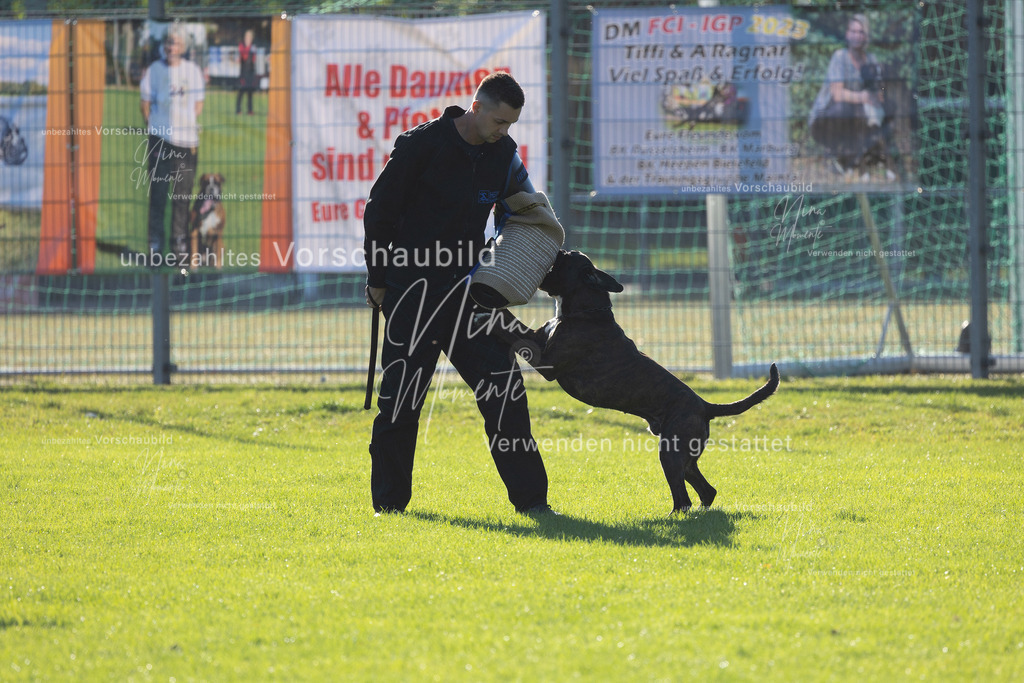 _16A4892 | Einzigartige Fotos von Hunden & Menschen –Actionfotos, Portraits, Vereinsaufnahmen & Paarshootings – authentisch, lebendig & mit Herz.