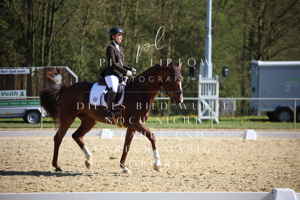 IMGT8596 | pl-fotografie