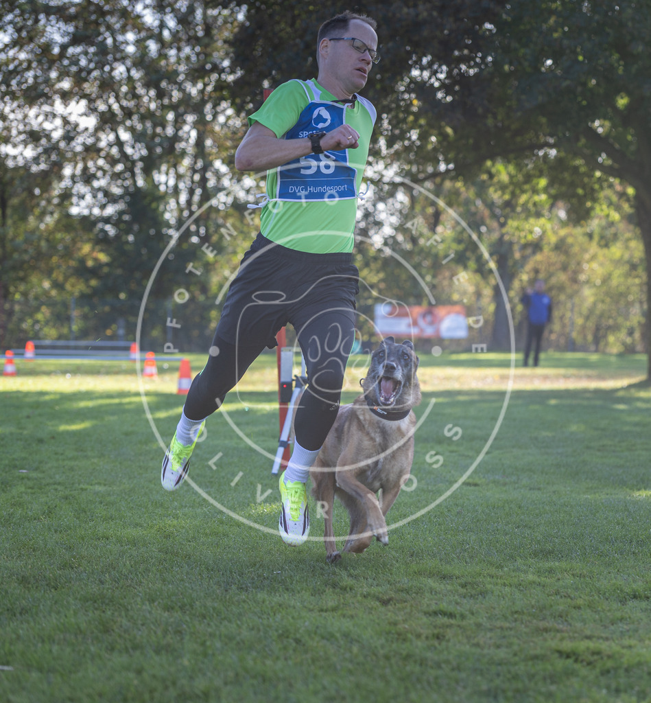 Pfotenfotografie.de_DV3A3146 | Hundefotografie, Tierfotograf, Pfotenfotografie, Fotoshooting Hund, Hunde Portrait, Hundesport, Hundeportraits, Heideshooting, Hunde, Sportfotograf, Hundefotograf, Turnierhundsport, THS, canicross - Realisiert mit Pictrs.com