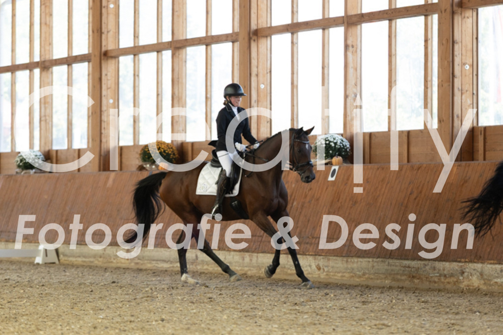 IMG_5022 | Creatify Fotografie