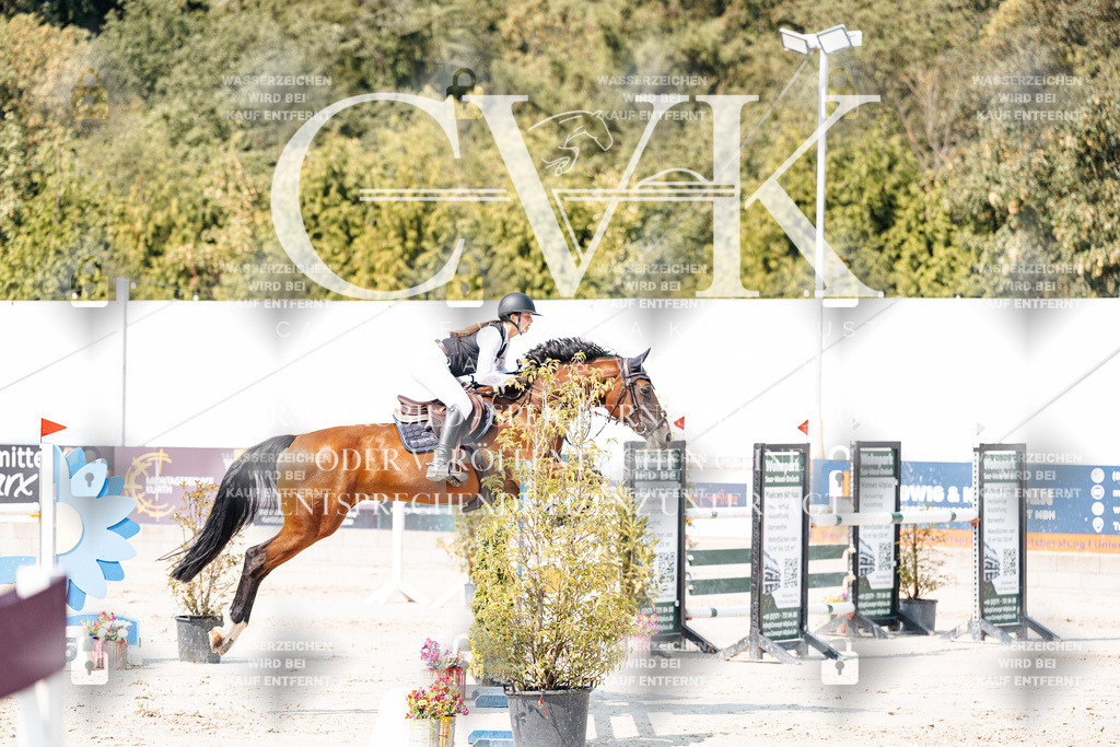 CK901841 | Turnierfotografie Pferdefotografie Trier Rheinland-Pfalz Pferdesport Reitsport Tierfotografie Sportfotografie Pferdevideo Pferdevideografie Equestrianvideography equestrianphotography  - Realisiert mit Pictrs.com