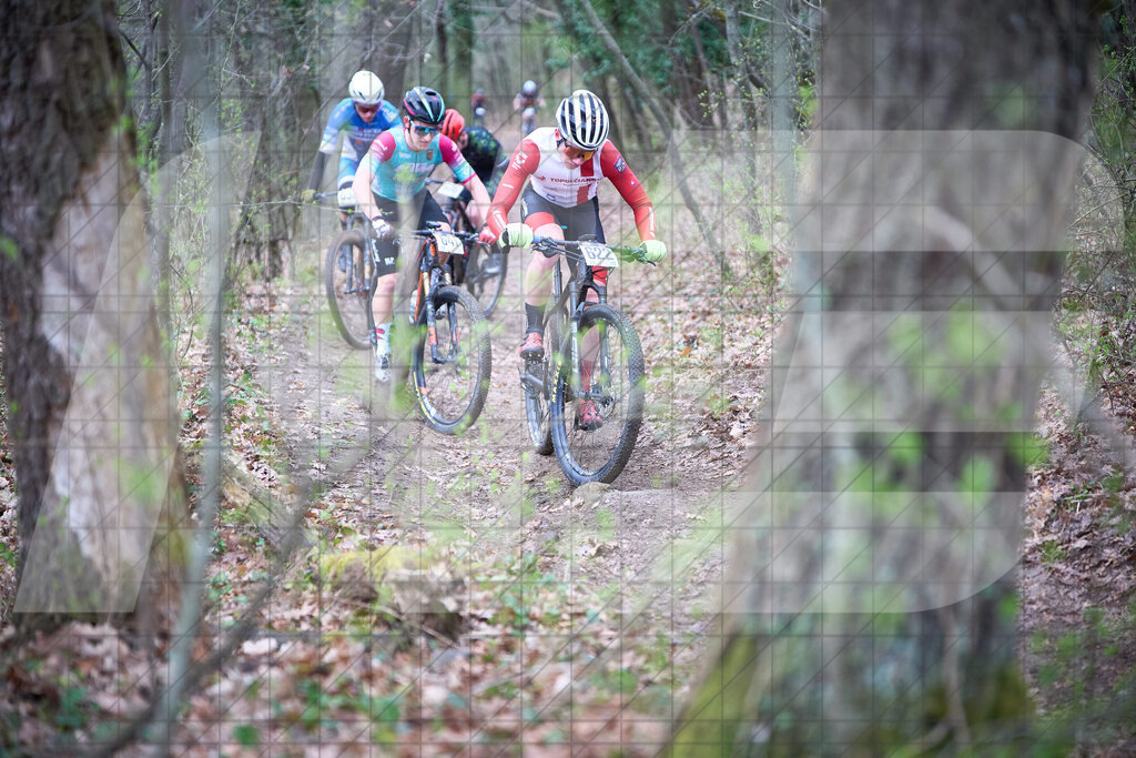 34. KTM Kamptal Trophy Ein Gruppe im Selchkammer Anstieg | ZÖBING, Österreich – 2026-03-29: 34. KTM Kamptal TrophyEin Gruppe im Selchkammer AnstiegFoto: © 2026 Martin Bihounek - MB Creative e.U.