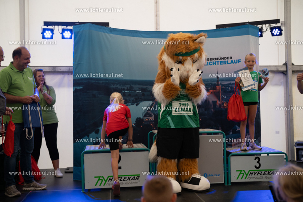 FSC08273 | Lichterlauf  - Realisiert mit Pictrs.com
