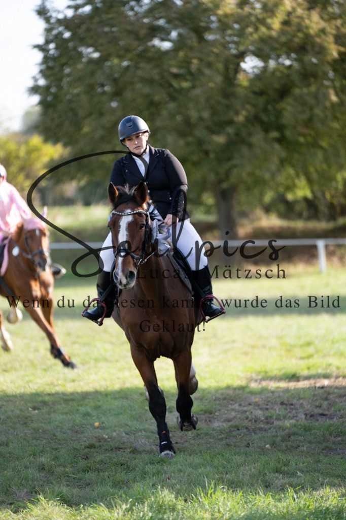 A7V06607 | Pferdefotograf