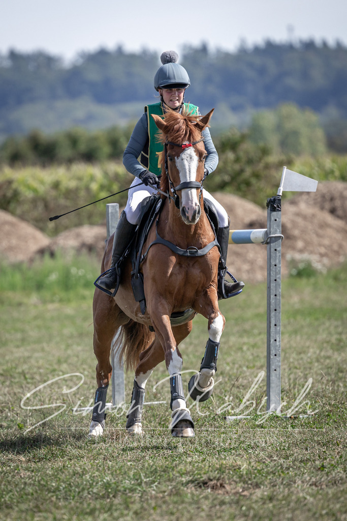 20250907-_3LI1774 | Tierfotografie Pferde, Hunde, Katzen, Haustiere.
Turnierfotografie Reitturniere, Reiten, Springreiten, Dressur in Hanau, dem Main-Kinzig-Kreis und dem Rhein-Main- Gebiet um Frankfurt