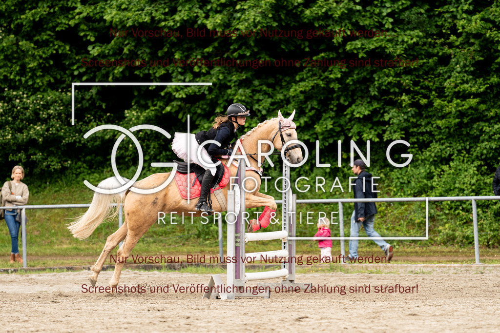 DSC08995 | Turnierfotografin Carolin Gieschke, Turnierfotografie Carolin G Fotografie, Turnierfotos Kirchheim/Teck, Esslingen, Stuttgart, Bodenseekreis