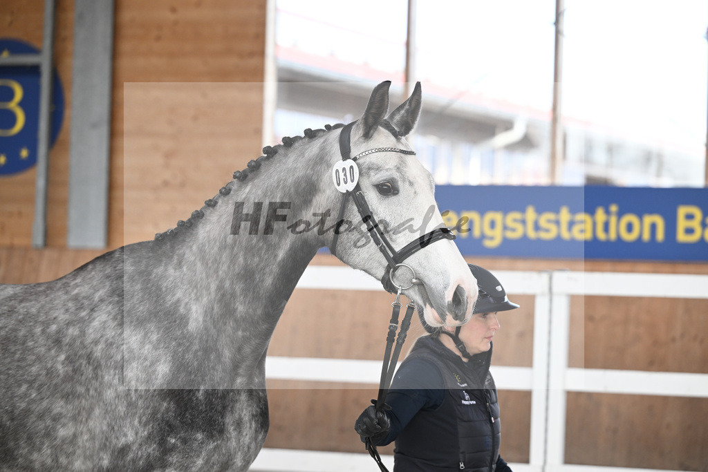 Kat-Nr. 30 Istafan Kakadu v. 6474 Istafan Libegoe_Lang_14260892 | hf-fotografie - Realisiert mit Pictrs.com