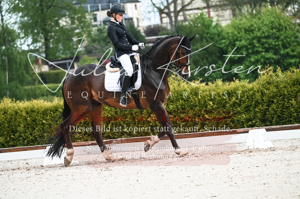 DSC_4151 | Pferde- und Turnierfotografie in Westsachsen. Pferdeportraits, Auftragszeichnungen und intuitive Kunst.