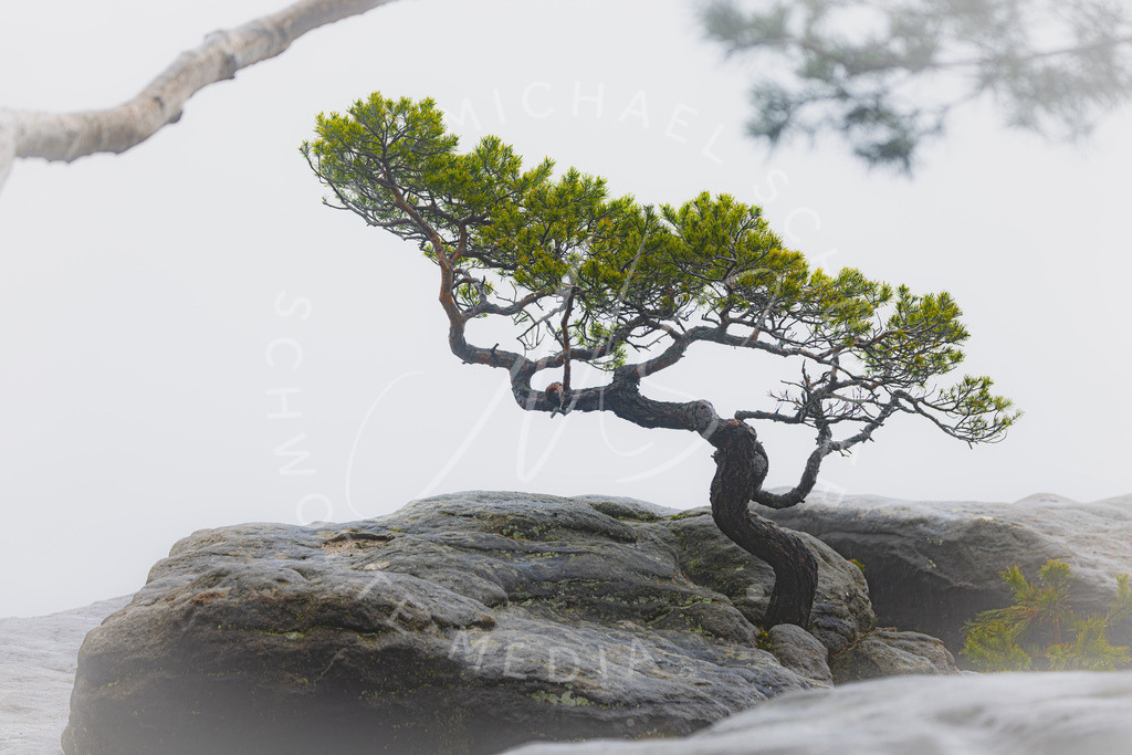 2023-04-14 Saechische Schweiz Lilienstein - 034 | Schwotte Media - Realisiert mit Pictrs.com