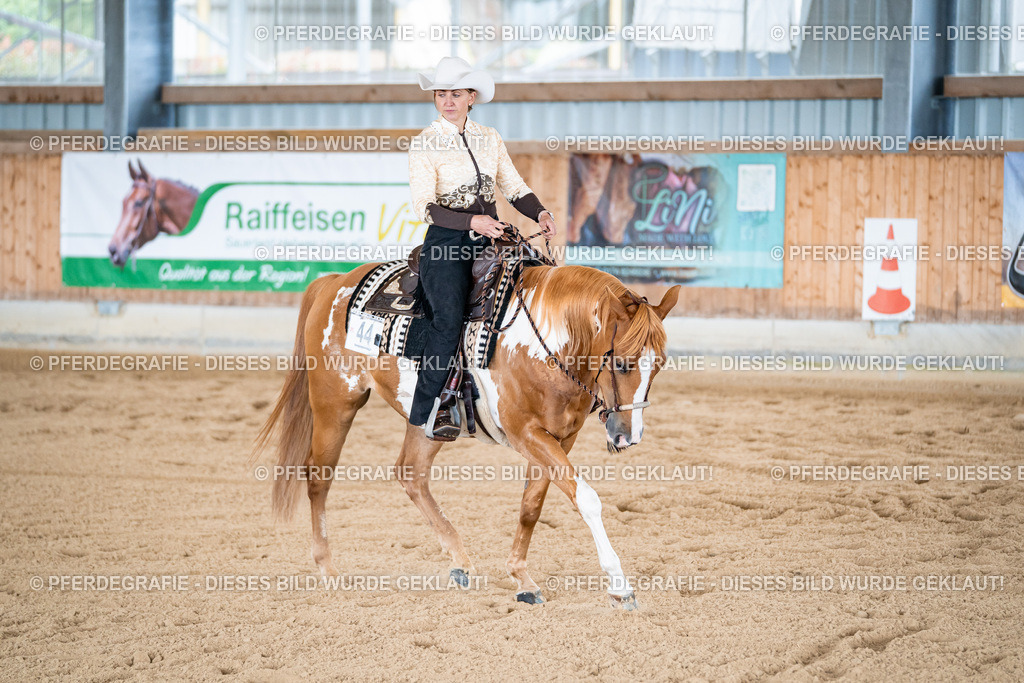 DSC02244 | Pferdegrafie