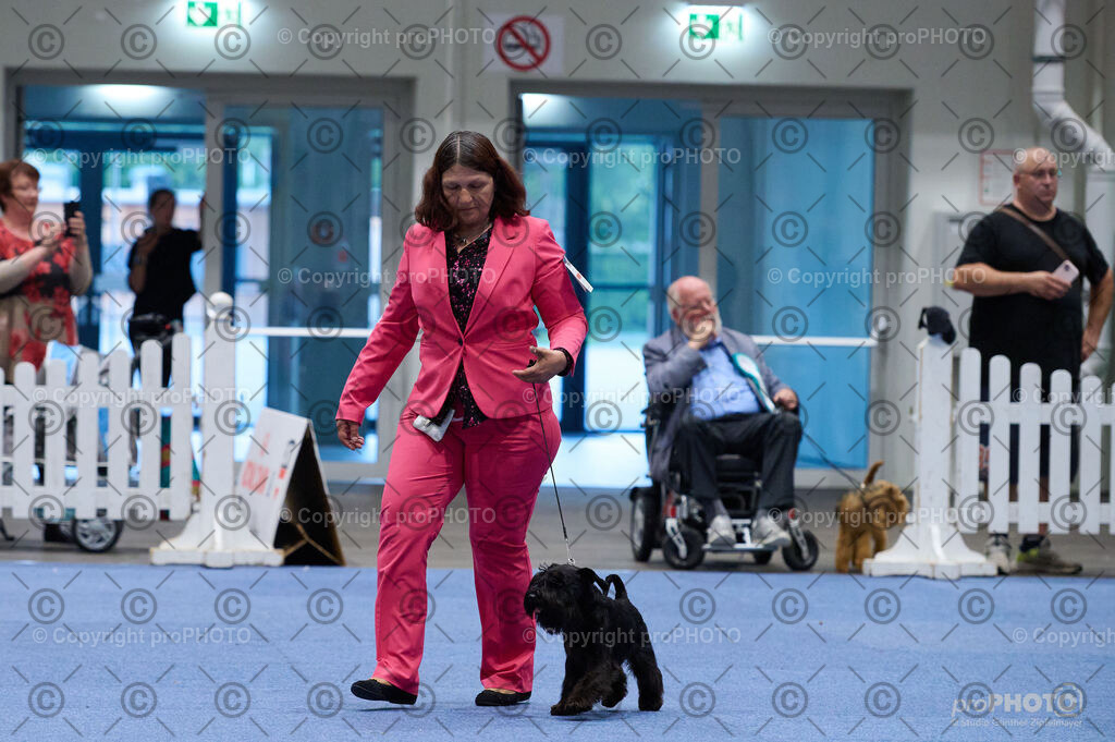 202406_ÖKV-IHA-Tulln24_DSC_3295 | proPHOTO - Realisiert mit Pictrs.com