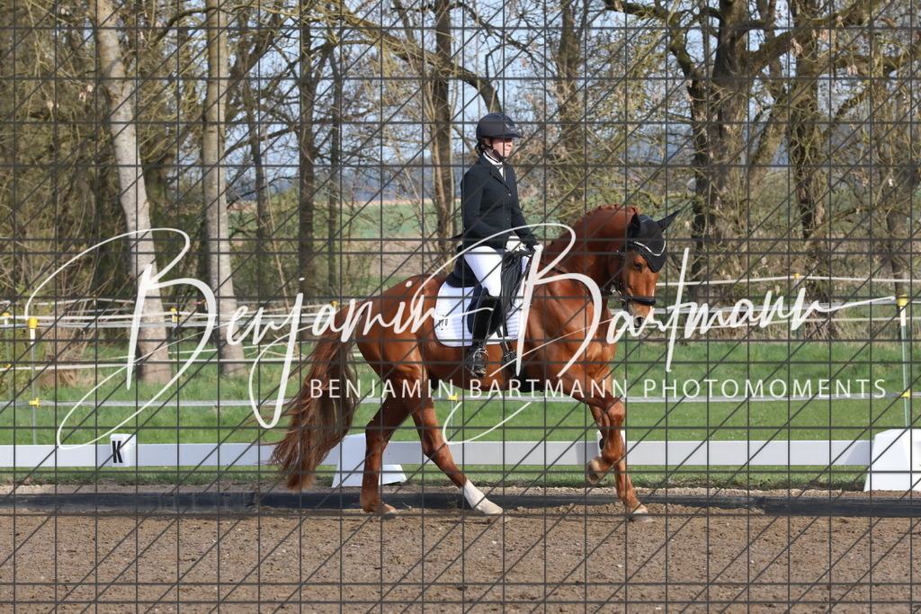 AZ2A6261 | Benjamin Bartmann Photomoments