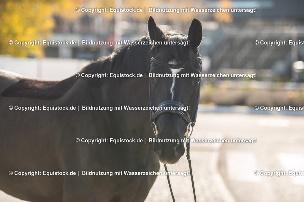 20251113_Lisa-Müller_TOMSPIC_0041 | Foto: Thomas Hartig