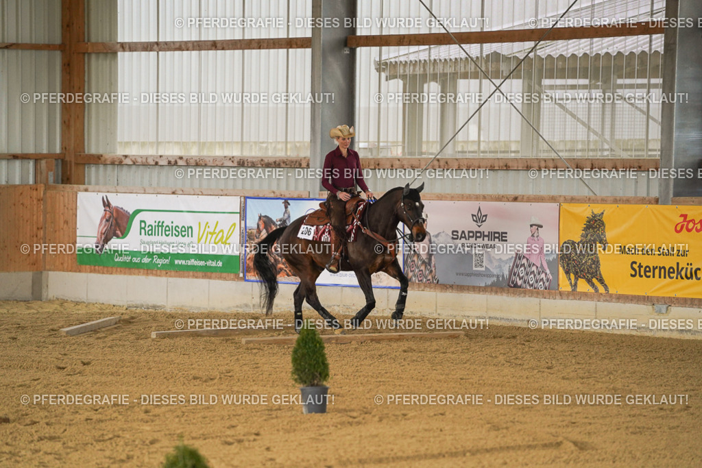 DSC03710 | Pferdegrafie