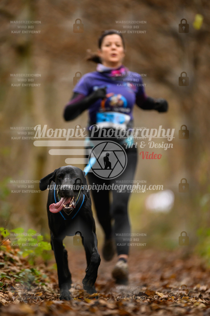 MompixPhotography_Eschau2024_CCC-40 | PayLife