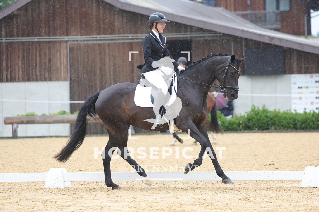 0P6A9484 | Willkommen bei Brunnmayr - Design & Fotografie – Ihrem Spezialisten für Reitturniere und Pferdeveranstaltungen in Oberösterreich, Salzburg und Bayern! Seit über 17 Jahren sind wir leidenschaftlich dabei.