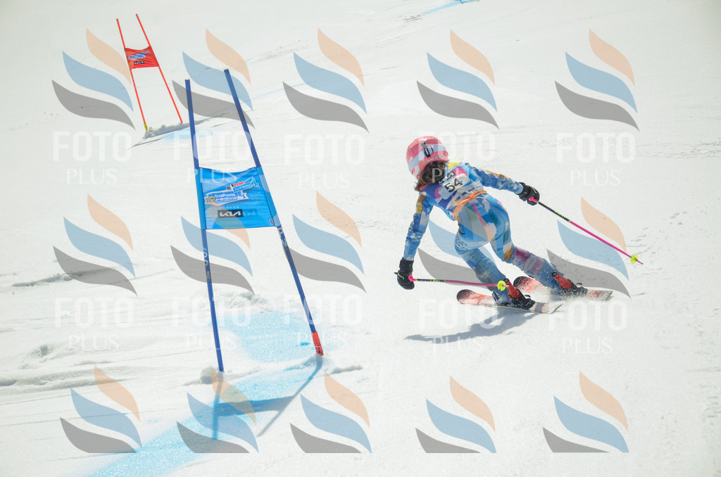 _ELE5241 | holidayphoto