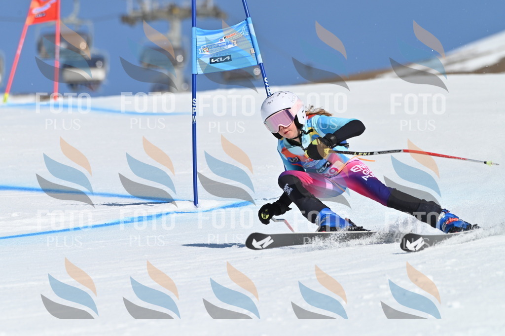 BGV_8337 | holidayphoto