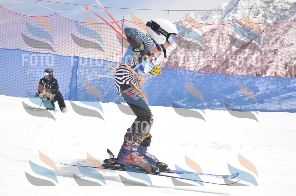 _ELE8675 | holidayphoto