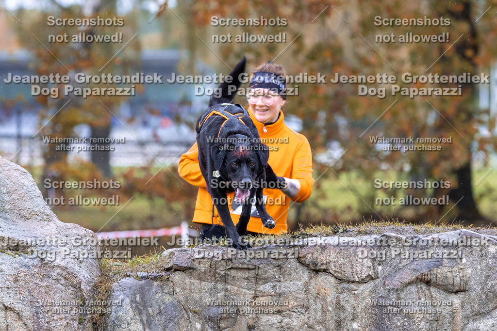 Dog Paparazzi - SD CaniX Championship 2025-822 | Dog Paparazzi Jeanette Grottendiek Fotografie & Videografie - Realisiert mit Pictrs.com