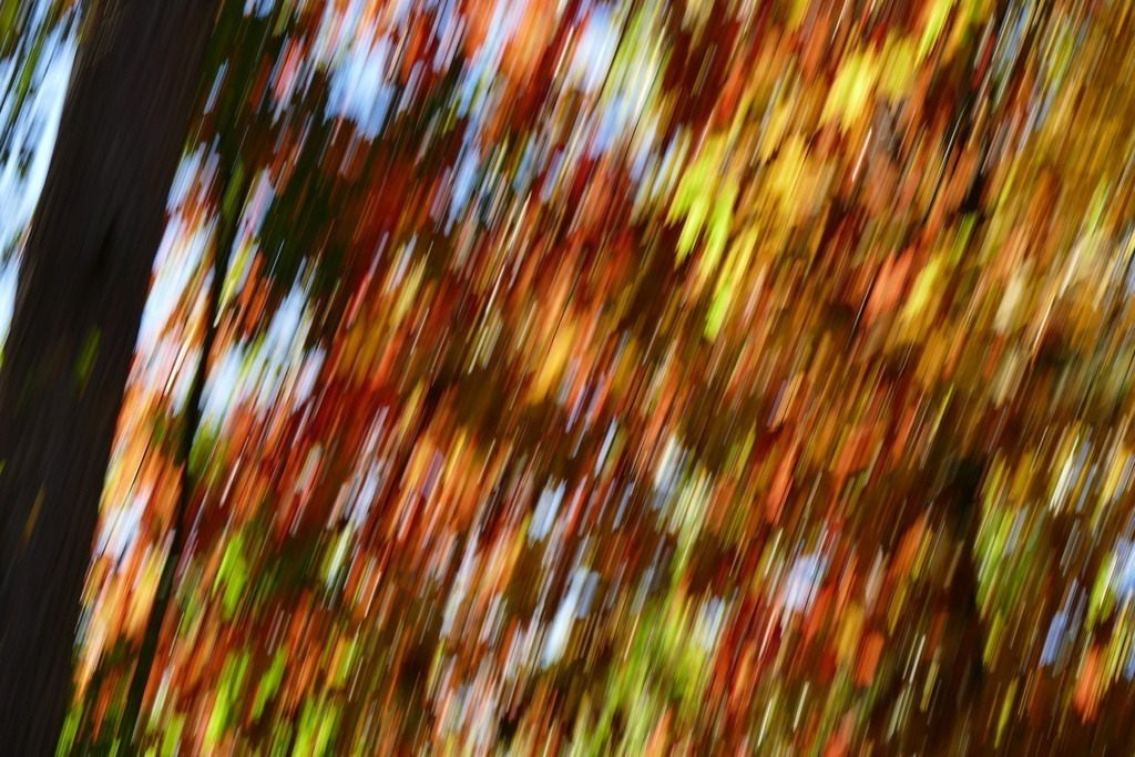 P4030434 | Annaeherungen - Realisiert mit Pictrs.com