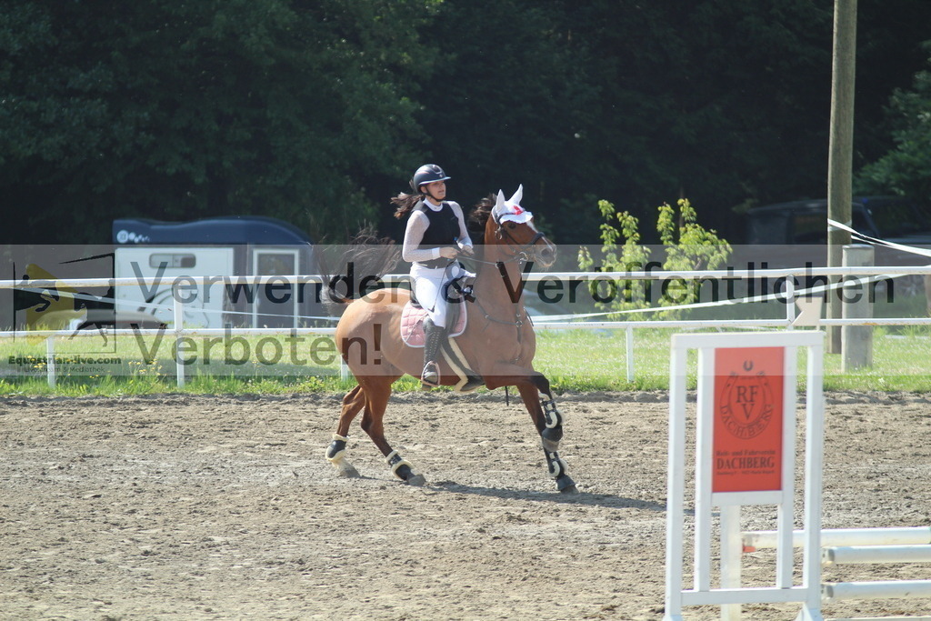 IMG_3166 | equestrian-live-com