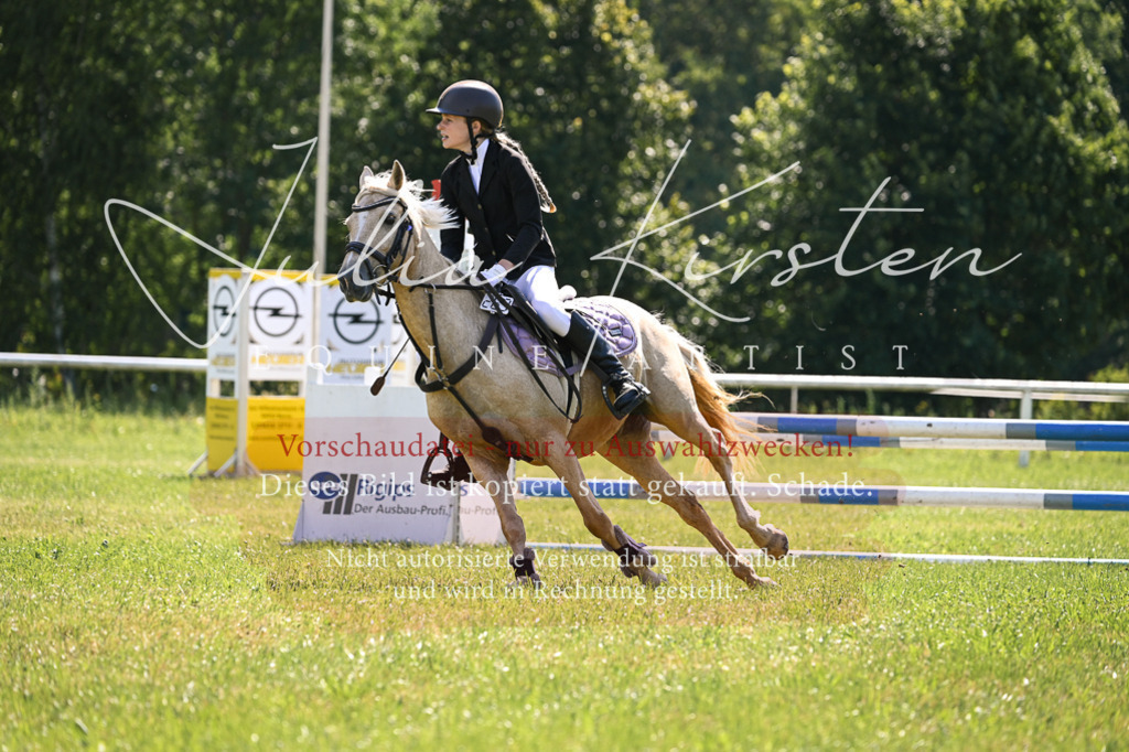 DSC_8820 | Pferde- und Turnierfotografie in Westsachsen. Pferdeportraits, Auftragszeichnungen und intuitive Kunst.