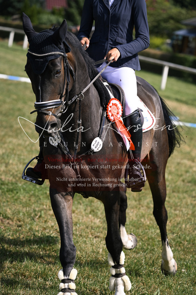 DSC_0739 | Pferde- und Turnierfotografie in Westsachsen. Pferdeportraits, Auftragszeichnungen und intuitive Kunst.